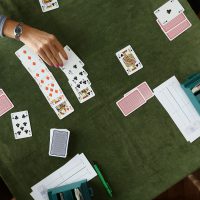 7-Bridge-Card-Rex 7-Bridge-Card-Rex